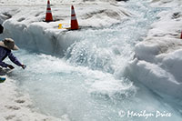 Melting snow, Athabasca Glacier, Columbia Ice Fields, Icefields Parkway, AB