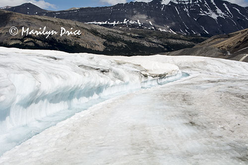 Melting snow, Athabasca Glacier, Columbia Ice Fields, Icefields Parkway, AB