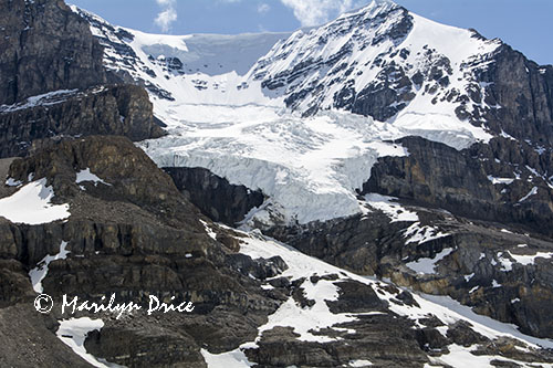Columbia Ice Fields, Icefields Parkway, AB
