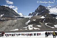 Columbia Ice Fields, Icefields Parkway, AB
