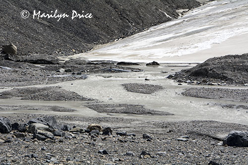 Toe of the Athabasca Glacier, Columbia Ice Fields, Icefields Parkway, AB