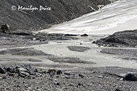 Toe of the Athabasca Glacier, Columbia Ice Fields, Icefields Parkway, AB