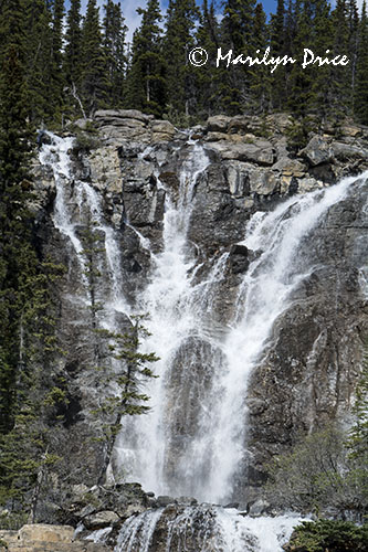 Tangle Falls, Icefields Parkway, AB