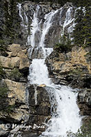 Tangle Falls, Icefields Parkway, AB