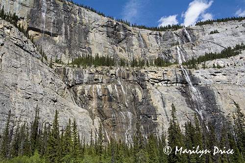 Weeping Wall, Icefields Parkway, AB