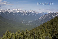 View from the top of Sulphur Mountain Gondola, Banff, AB