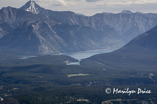 Lake Minnewanka from Sulphur Mountain Gondola, Banff, AB