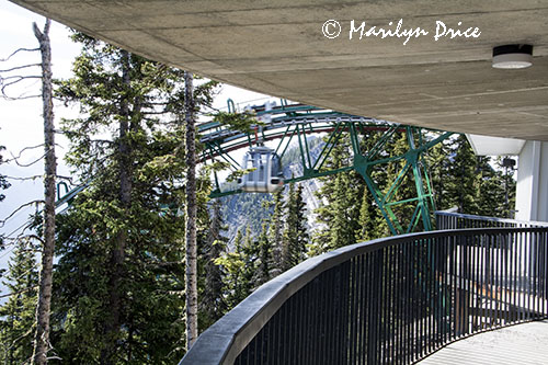 Gondola arriving at the top station, Sulphur Mountain Gondola, Banff, AB