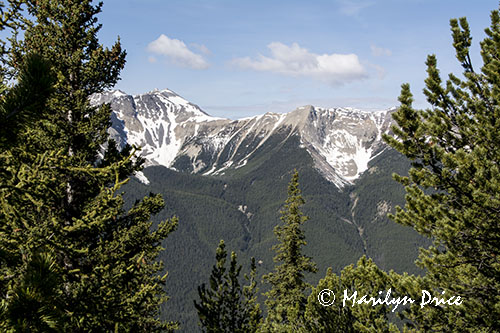 View from the top of Sulphur Mountain Gondola, Banff, AB