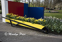 Planter box of tulips, daffodils, and other flowers, Keukenhof Gardens, Netherlands