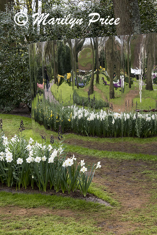 Large reflectors create an almost abstract view of the gardens, Keukenhof Gardens, Netherlands
