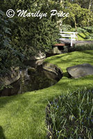 A quiet stream meanders through, Keukenhof Gardens, Netherlands