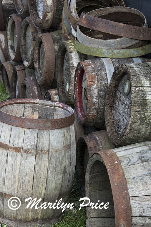 Barrels at the cooperage, Zaandam, Netherlands