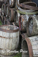 Barrels at the cooperage, Zaandam, Netherlands