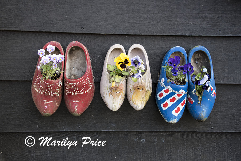 Painted wooden shoes as wall planters, Zaandam, Netherlands