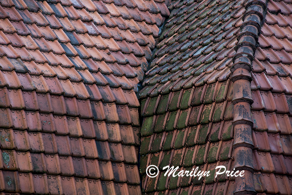 Interesting roof, Schagen, Netherlands