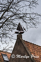 Windvane in the shape of a ship, Hoorn, Netherlands