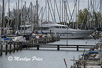 Large boat in a crowded harbor, Hoorn, Netherlands