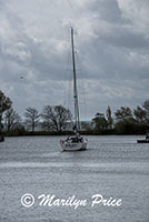 Sailboat, Hoorn, Netherlands