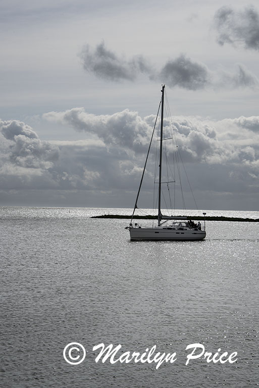 Sailboat leaving the harbor, Hoorn, Netherlands