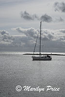 Sailboat leaving the harbor, Hoorn, Netherlands