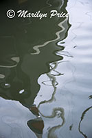 Reflections in the harbor, Hoorn, Netherlands