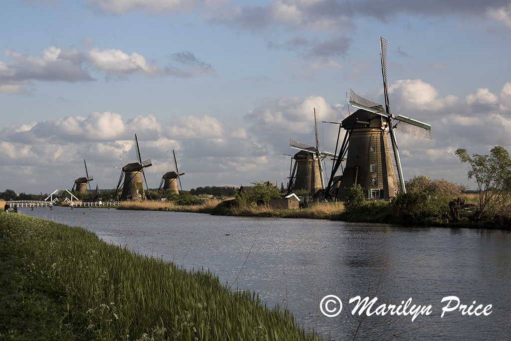 Windmills at Kinderdijk, Netherlands