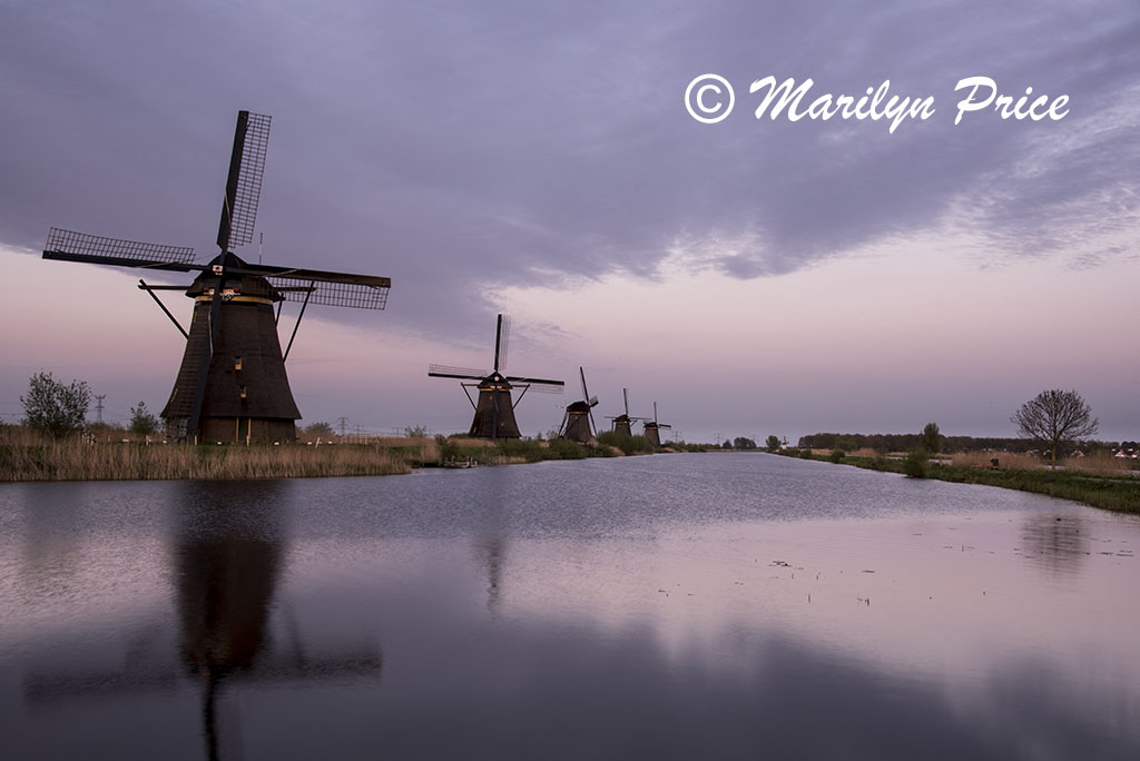 Windmills at Kinderdijk, Netherlands