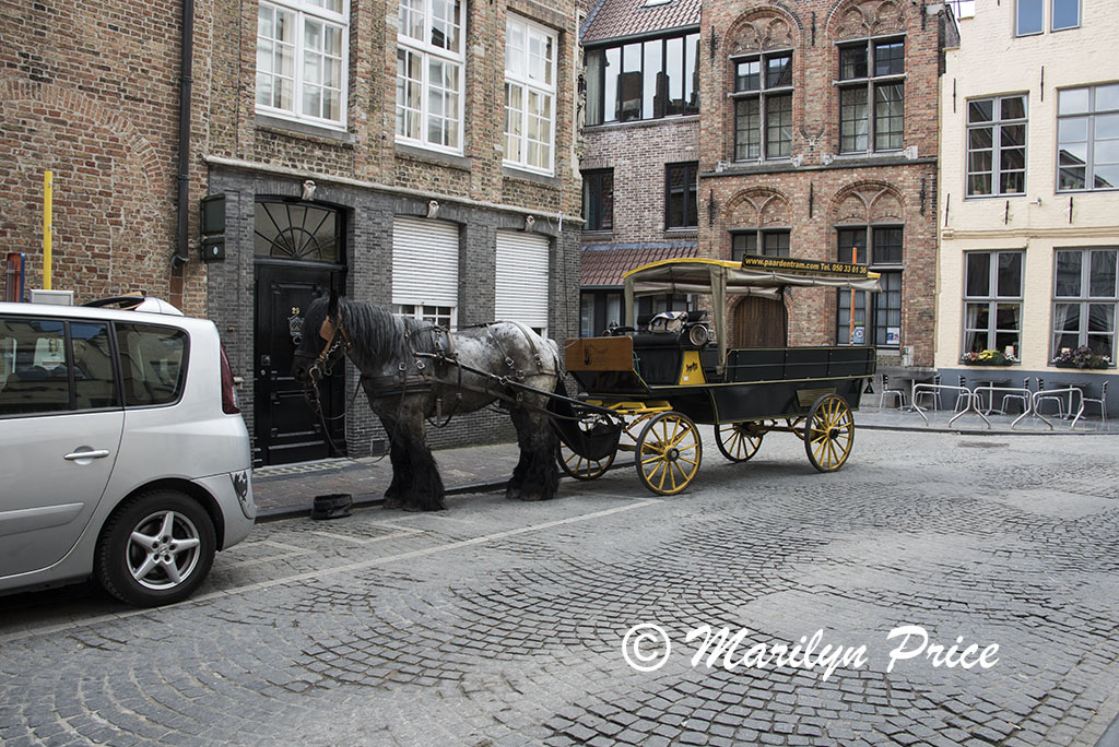 Horse drawn wagon for tourists, Bruges, Belgium