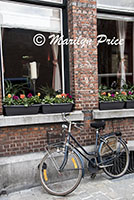 Bicycle and windowboxes, Bruges, Belgium