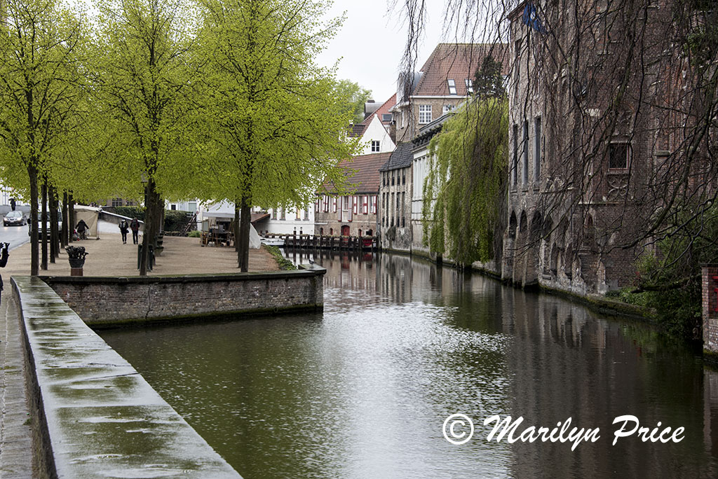 Buildings reflected in a canal, Bruges, Belgium