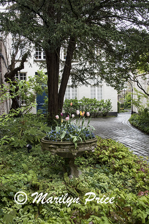 Garden in a small courtyard, Bruges, Belgium
