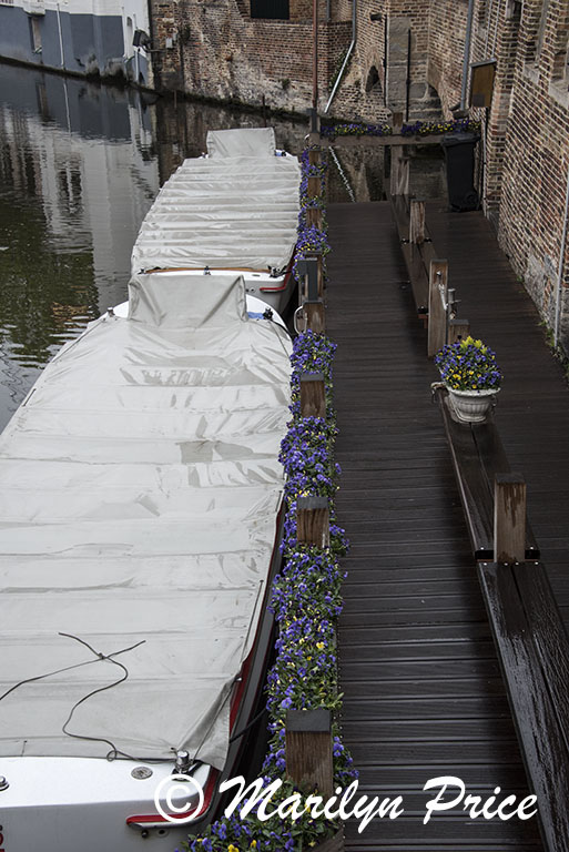 Covered boats with flower boxes, Bruges, Belgium