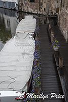 Covered boats with flower boxes, Bruges, Belgium
