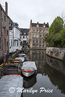 Reflections in a canal, Bruges, Belgium