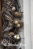 Decorations around a doorway (bird nests with eggs), Bruges, Belgium