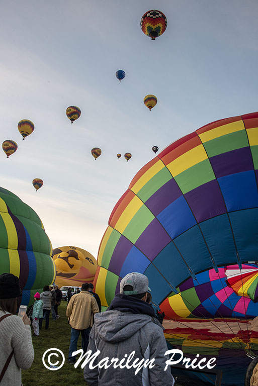 Balloons launch, International Balloon Fiesta, Albuquerque, NM