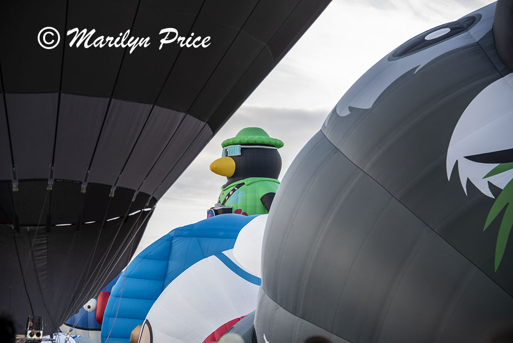 Some of the shape balloons join the others at launch, International Balloon Fiesta, Albuquerque, NM