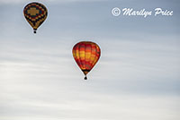 Balloons launch, International Balloon Fiesta, Albuquerque, NM
