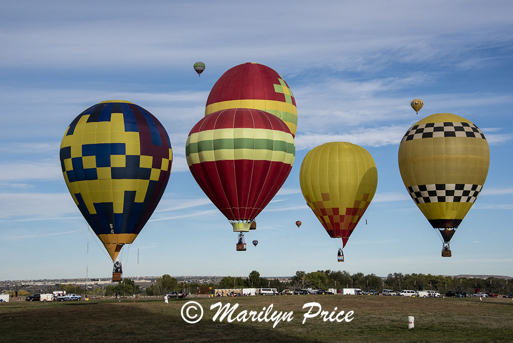 Coming in for a controlled landing at the field, International Balloon Fiesta, Albuquerque, NM
