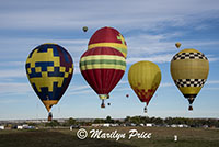 Coming in for a controlled landing at the field, International Balloon Fiesta, Albuquerque, NM