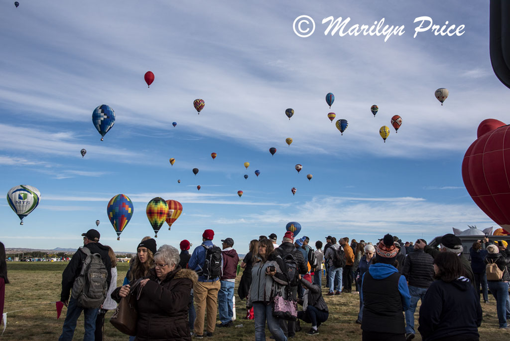 Coming in for a controlled landing at the field, International Balloon Fiesta, Albuquerque, NM