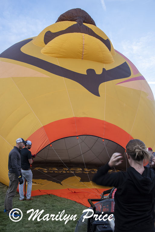 Inflating the lion balloon, Special shapes balloon glow, International Balloon Fiesta, Albuquerque, NM