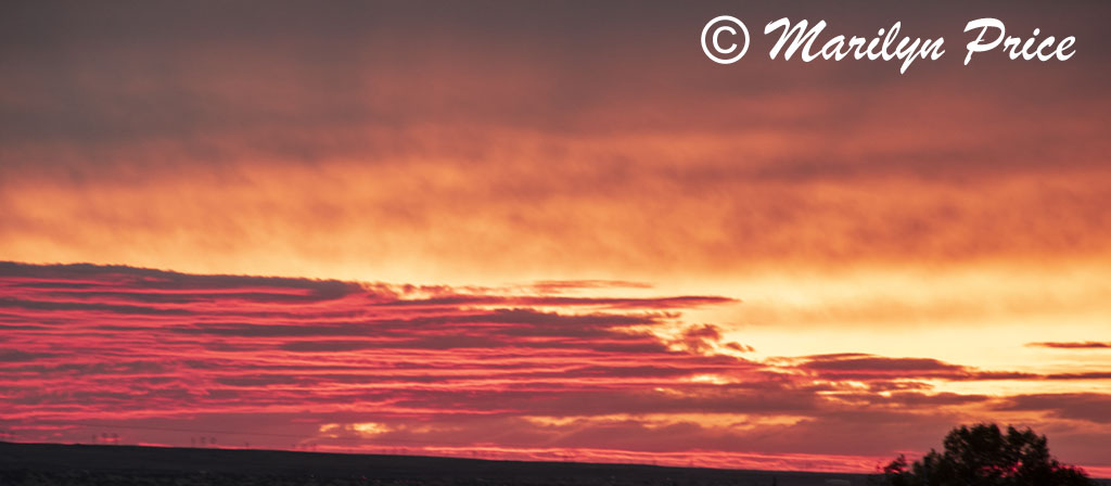 Sunset over the balloon grounds, Special shapes balloon glow, International Balloon Fiesta, Albuquerque, NM