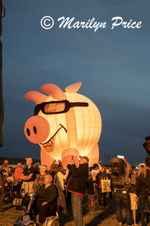 Cool pink flying pig, Special shapes balloon glow, International Balloon Fiesta, Albuquerque, NM