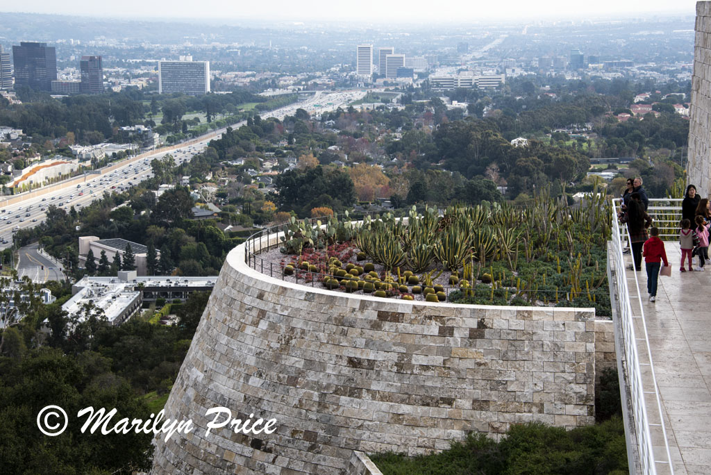 Cactus garden and one of the freeways, Getty Center, Los Angeles, CA