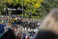 Mayor of Pasadena on a coach drawn by Clydesdales, Rose Parade, Pasadena, CA