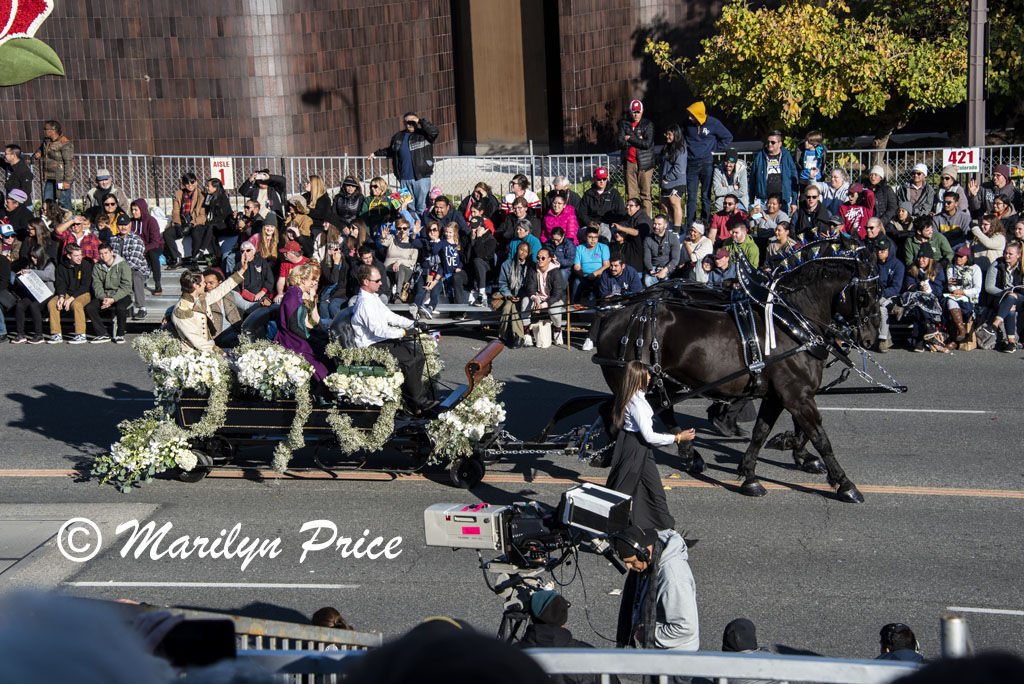 Valley Hunt Club wagons and horses, Rose Parade, Pasadena, CA