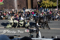 Valley Hunt Club wagons and horses, Rose Parade, Pasadena, CA