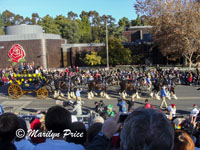 Valley Hunt Club wagons and horses, Rose Parade, Pasadena, CA